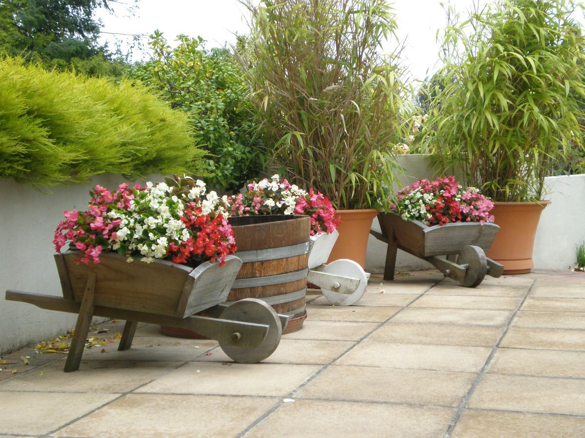 כרייסטצ'רץ' Shamrock Garden B&B Airport מראה חיצוני תמונה