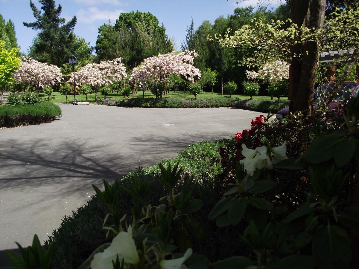 כרייסטצ'רץ' Shamrock Garden B&B Airport מראה חיצוני תמונה