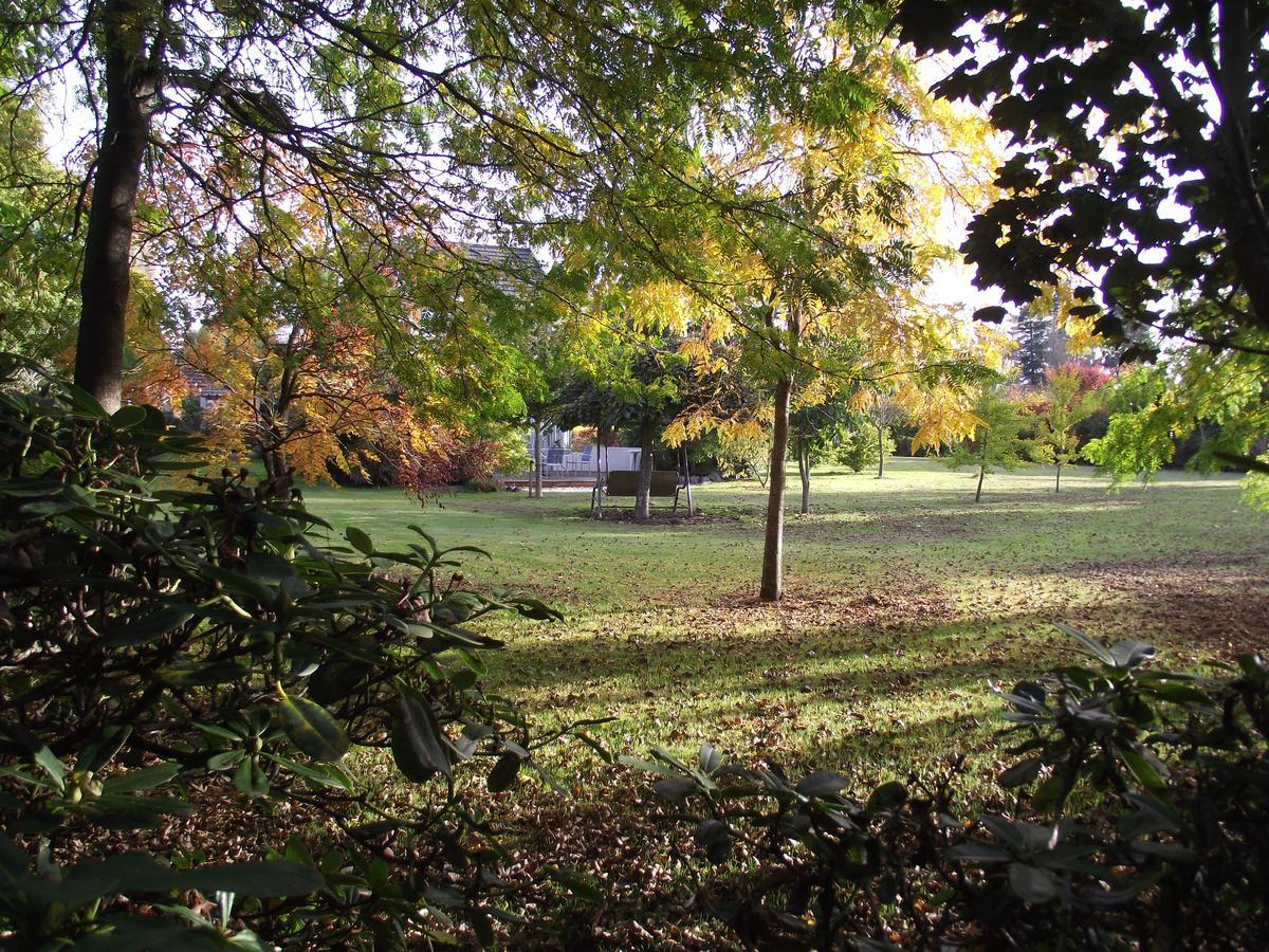כרייסטצ'רץ' Shamrock Garden B&B Airport מראה חיצוני תמונה