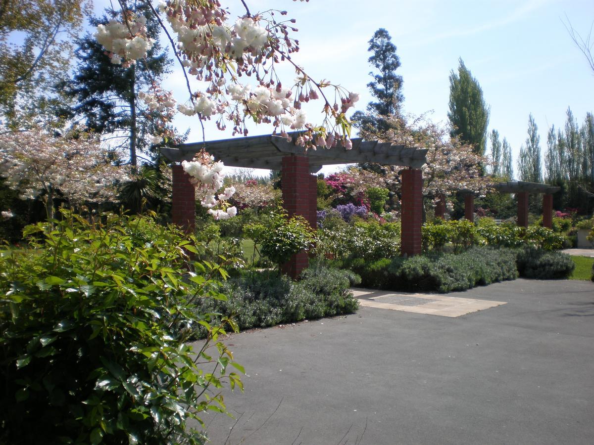 כרייסטצ'רץ' Shamrock Garden B&B Airport מראה חיצוני תמונה