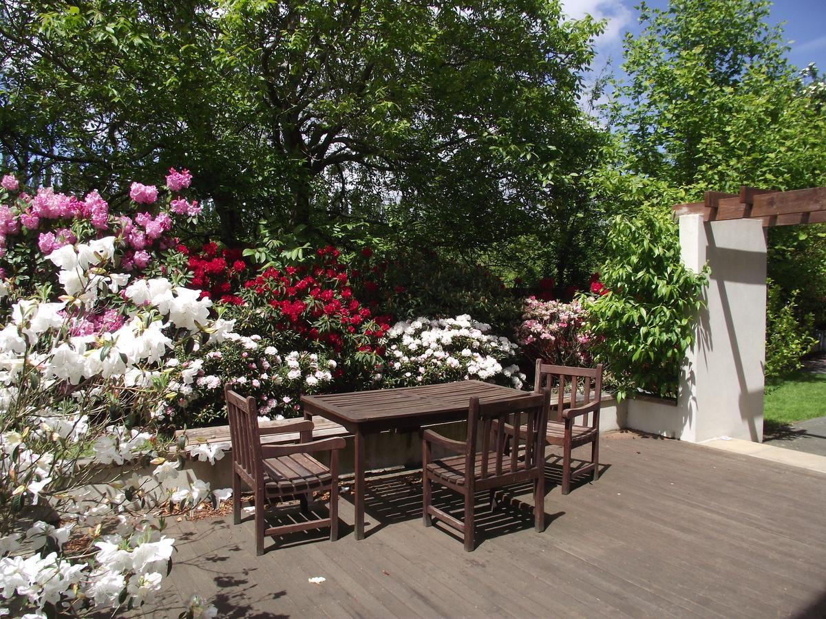 כרייסטצ'רץ' Shamrock Garden B&B Airport מראה חיצוני תמונה