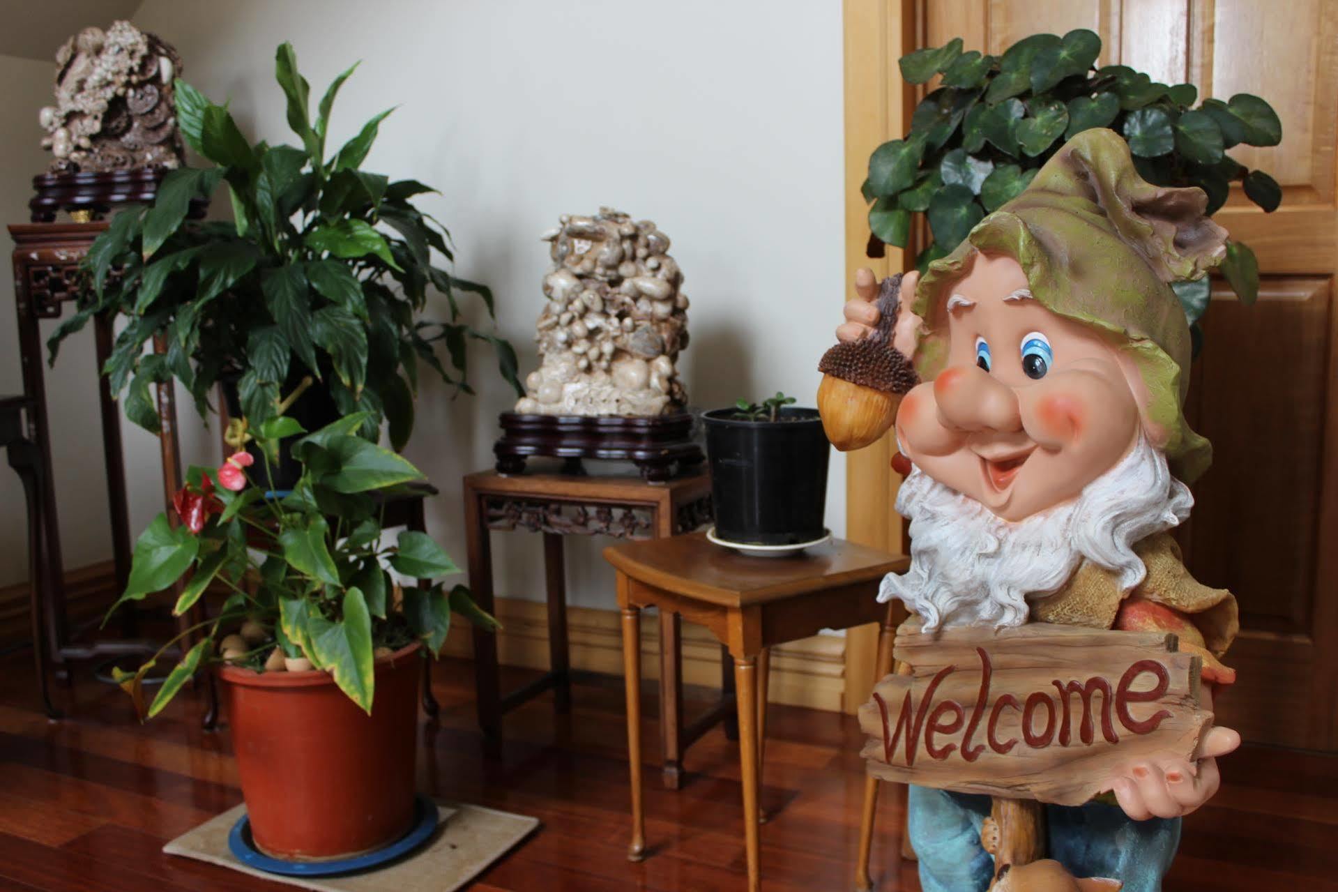 כרייסטצ'רץ' Shamrock Garden B&B Airport מראה חיצוני תמונה